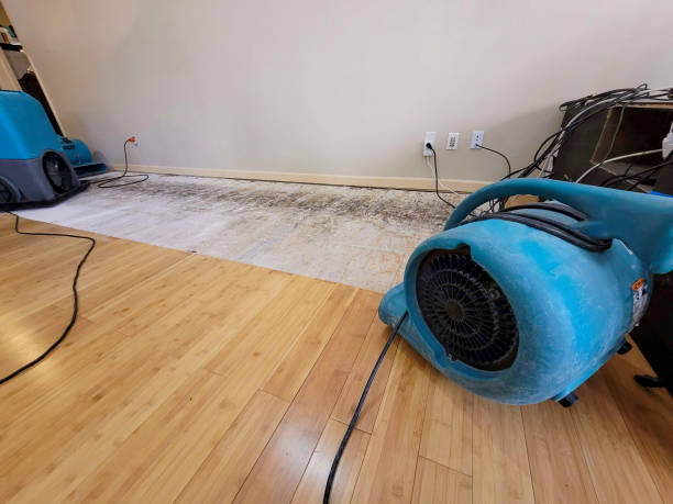 Reliable Basement Flood Cleanup contractor in Williamson, AZ by Hirex Water Damage