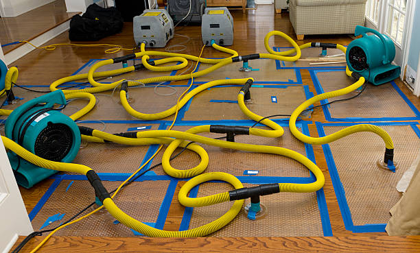 Professional Basement Flood Cleanup technician working in Williamson, AZ